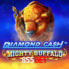 855bet App Interface