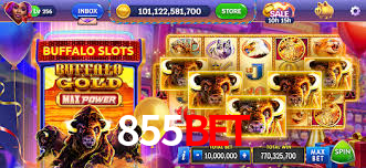 VIP Casino 855bet