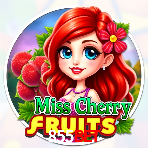 Interface Premium 855bet